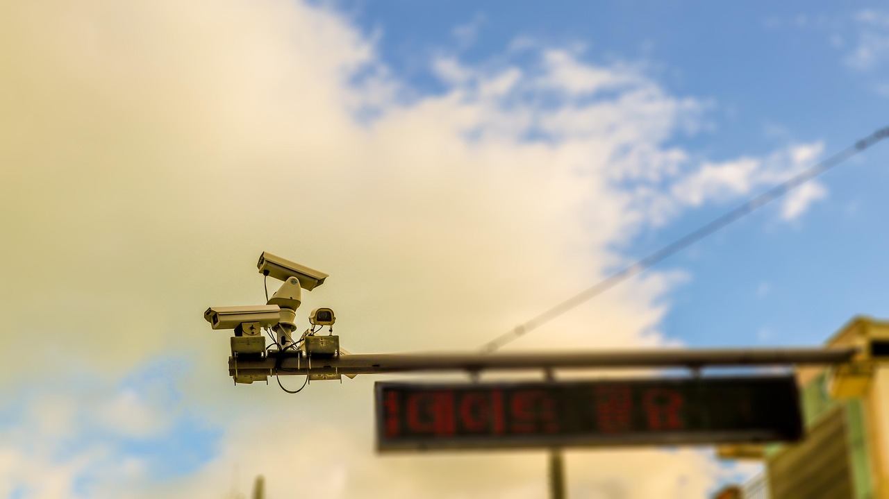 在线DDOS攻击平台|猫咪app网址详情下载教程