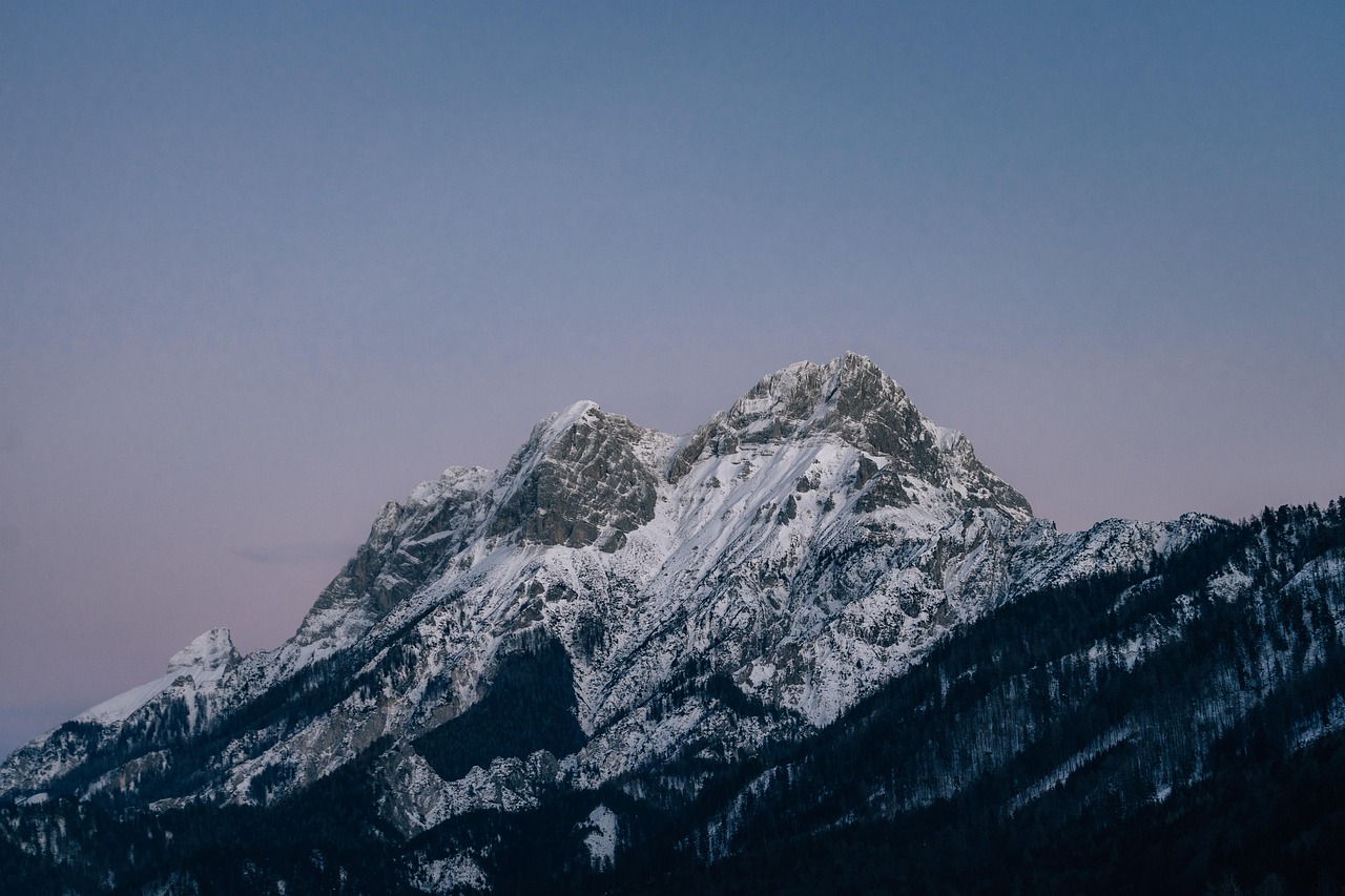 香烟的种类和口味