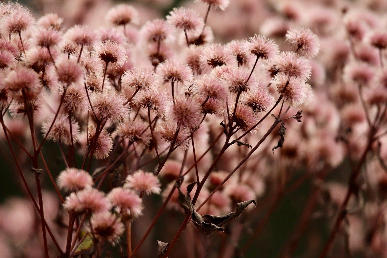 短信验证码如何防止恶意攻击